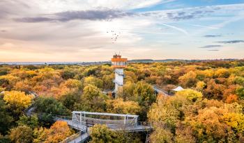Baumkronenpfad-Herbstpass Light (2 Besuche; gültig bis 31.10.2025)