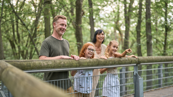 Baumkronenpfad (inkl. Erlebniswelten) Familie (2 Erwachsene & 2 Kinder)
