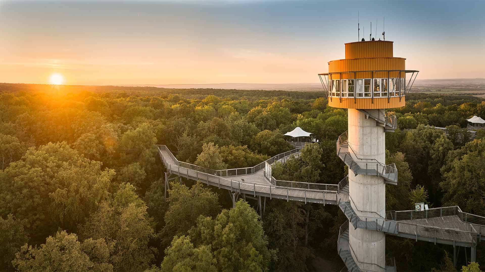 Ein Kombiticket für den Besuch des Baumkronenpfades inkl. Erlebniswelten für einen Erwachsenen; Gültigkeit 30 Tage ab Kaufdat