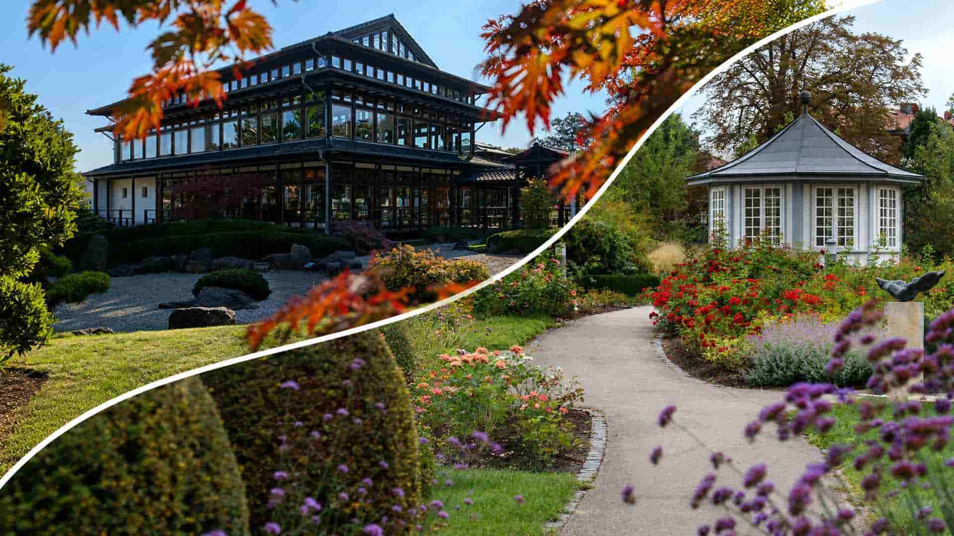 Ein Einzelticket für einen Eintritt im Rosengarten für einen Erwachsenen; Gültigkeit 30 Tage ab Kaufdatum